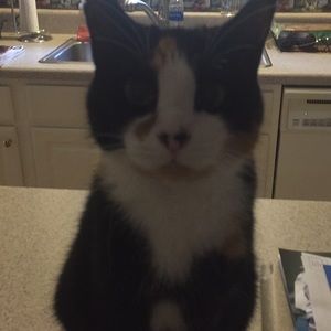 Meet your Posher, Lori